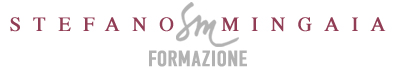 Stefano Mingaia logo